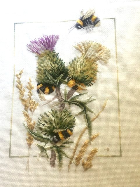 Thistle Bees