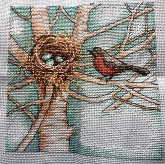 Finished back stitch for Dimensions Crafts Robin's Nest Counted Cross-stitch kit #65076 