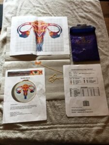 Anatomical cross stitch pattern, no 505, Uterus