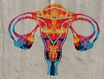 Completed female Uterus cross-stitch kit