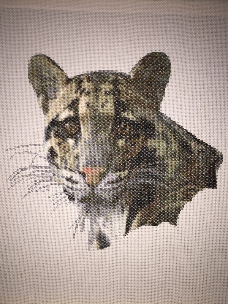 Clouded Leopard cross stitch kit