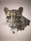 Complete Photo to cross stitch finishing service.