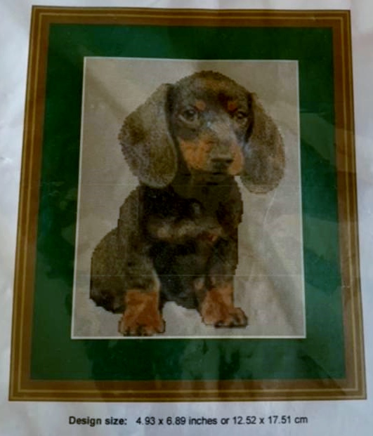 Dapple Dachshund on 28 count Lien