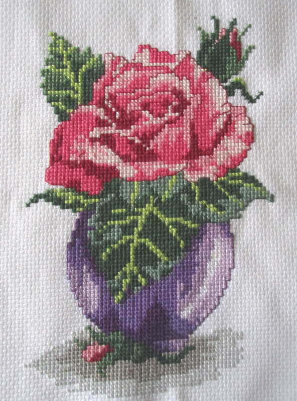 Rose in purple vase 